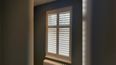Narrow full height bathroom window shutter